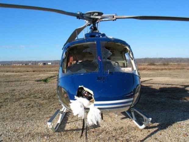 helicopter-hit-a-groups-of-birds-1